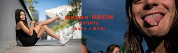 шишки Сосновый Бор