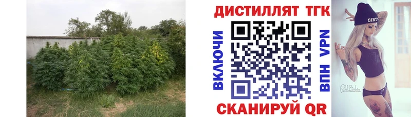 маркетплейс официальный сайт  даркнет сайт  Людиново  Дистиллят ТГК вейп с тгк 